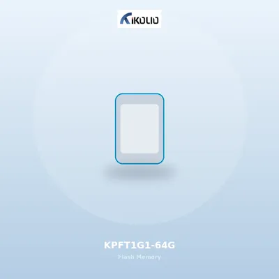 Kolio USB 2.0 Flash Drive 64GB (KPFT1G1-64G)